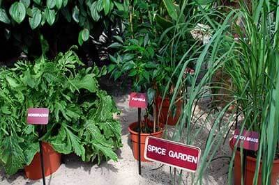 Spice Garden in Matale | achinilankatravels.com