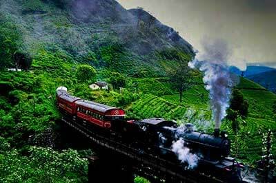 Scenic Train Journey Sri Lanka | achinilankatravels.com