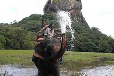 Elephant Back Ride in Sigiriya | achinilankatravels.com