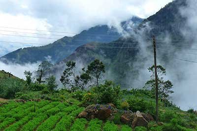 Sri Lankan Nature Nuwara Eliya| achinilankatravels.com